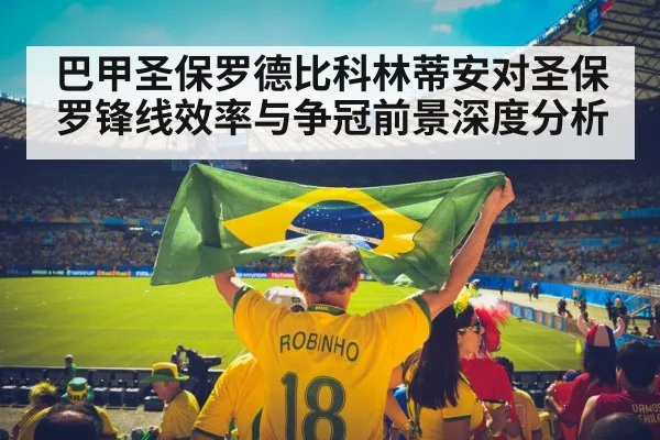 brazilian soccer fans stadium
